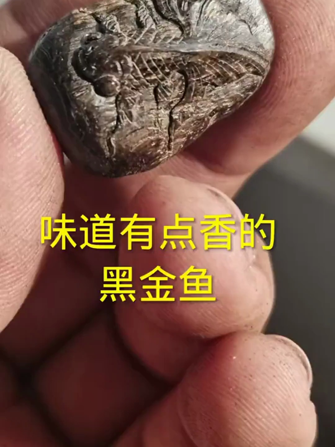 有点香的哥哥金鱼,坚持纯手工雕刻