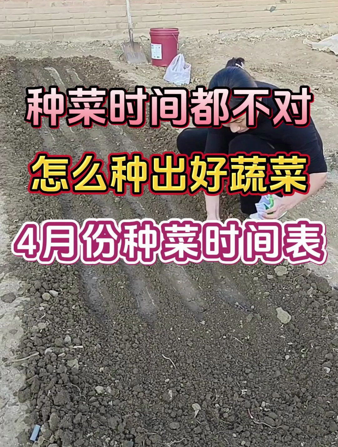 种菜时间都不对怎么种出好蔬菜4月份种菜时间表