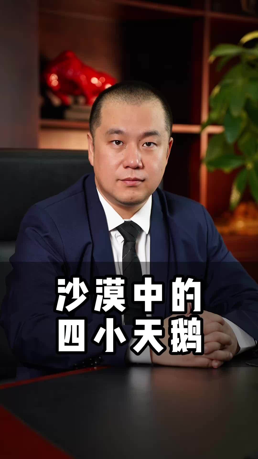 沙漠中的四小天鹅