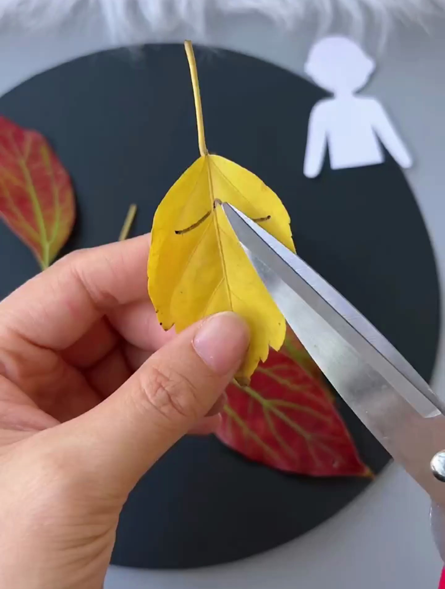 粘贴树叶画手工作业真的太好看了!