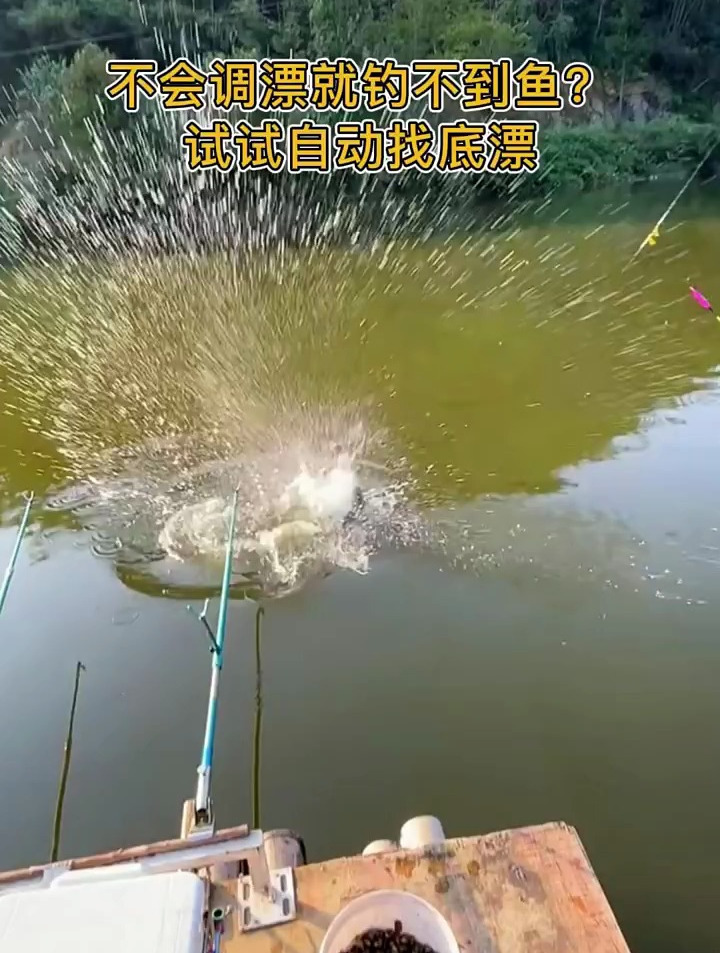自动找底自动调漂,让你上鱼更喝水一样简单钓鱼