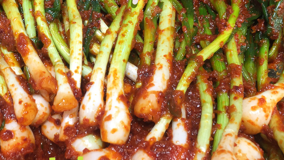 香葱泡菜 小葱泡菜 쪽파김치 一道简单的韩国家常拌菜:香蔥泡菜(쪽파김치)。 