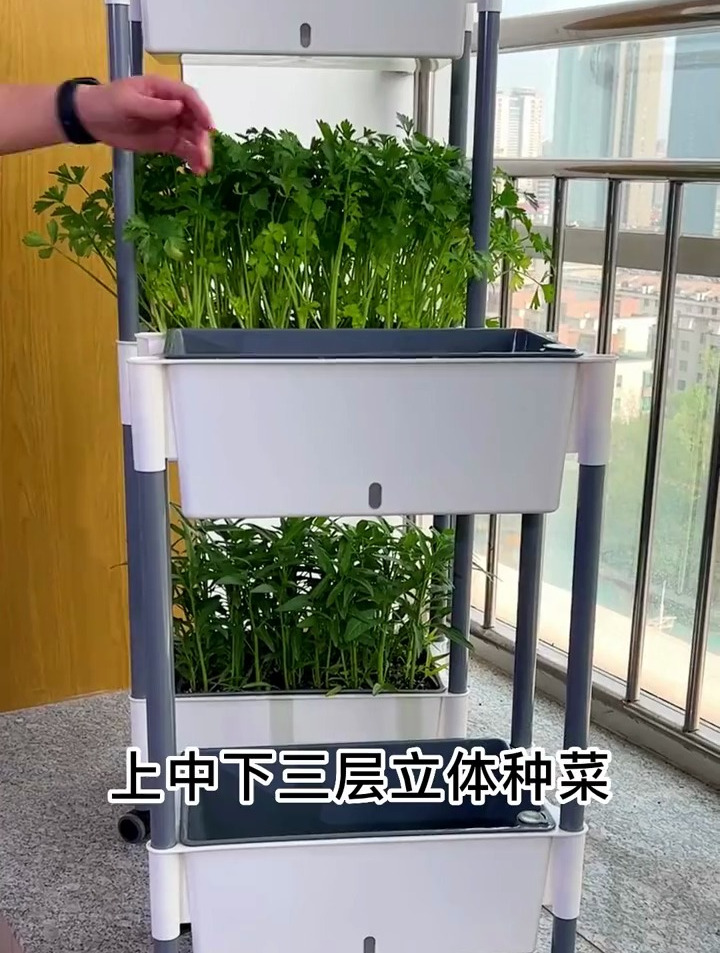 上中下三层立体种菜,不占地方更方便!