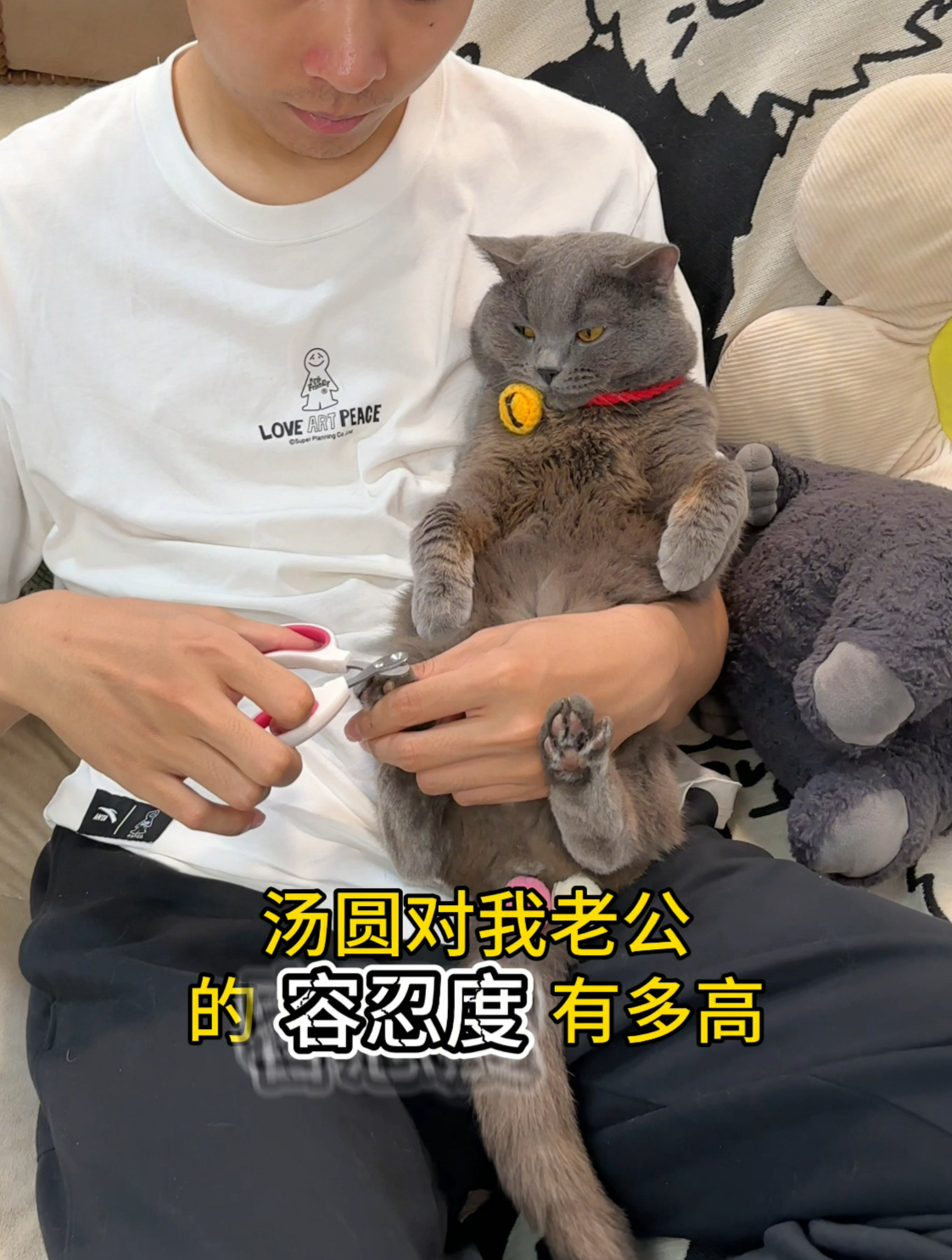 你可是我的陪嫁小猫,让我捏一下脚脚不过分吧?