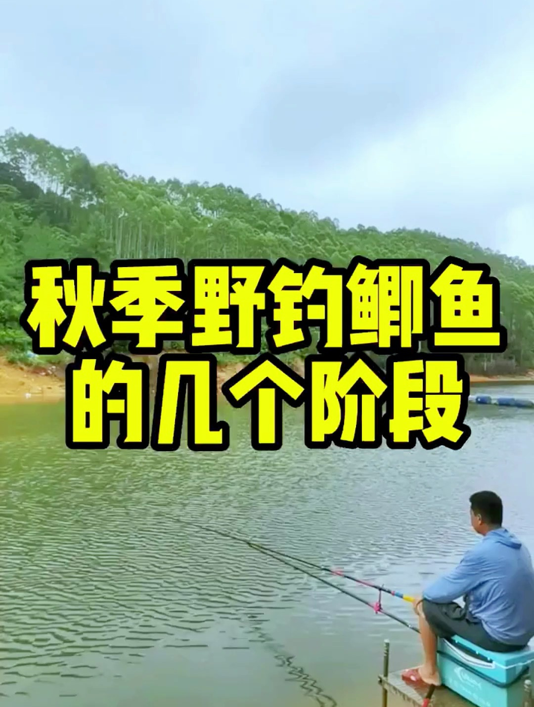 秋季是野钓鲫鱼的好时候,知道这几个阶段让你钓大板鲫鱼获满满