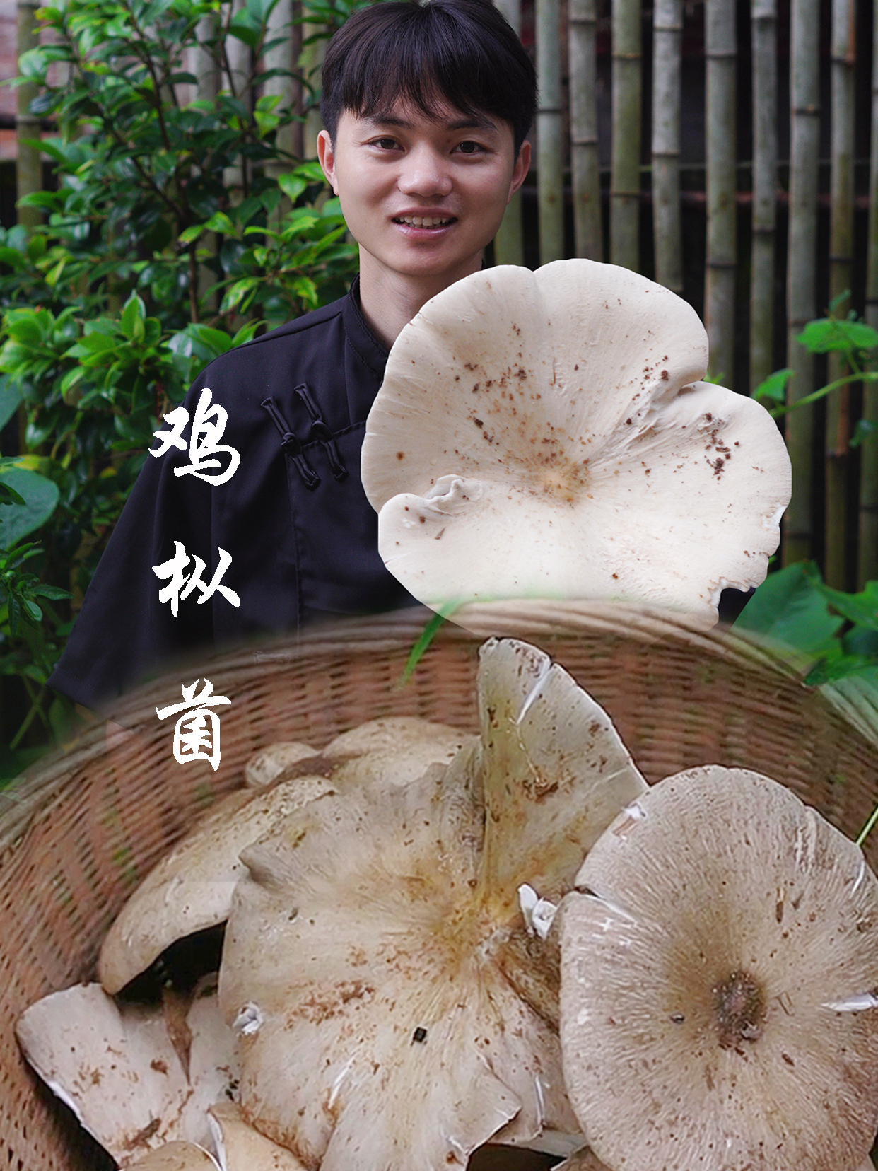 遍地都是吃不完的鸡枞菌,炖上一锅鸡汤,眉毛都鲜掉了
