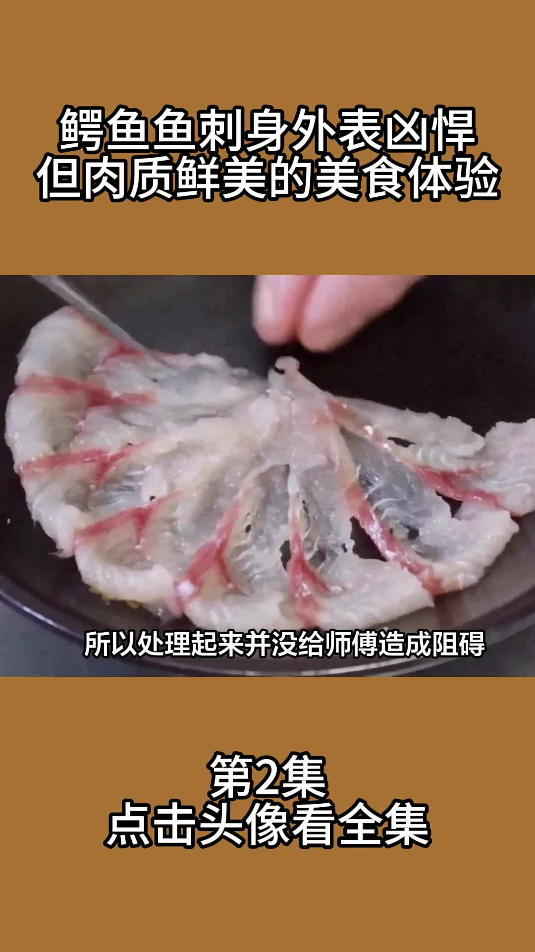 鳄鱼鱼刺身:外表凶悍但肉质鲜美的美食体验2