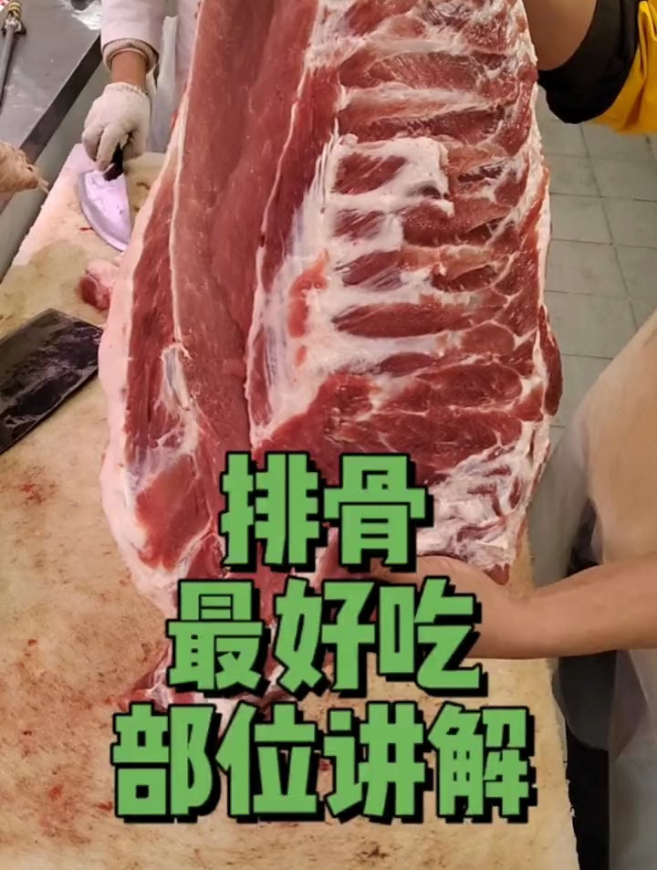 半边猪的排骨讲解,分,前,中,后,哪个部位最好吃,欢迎收看