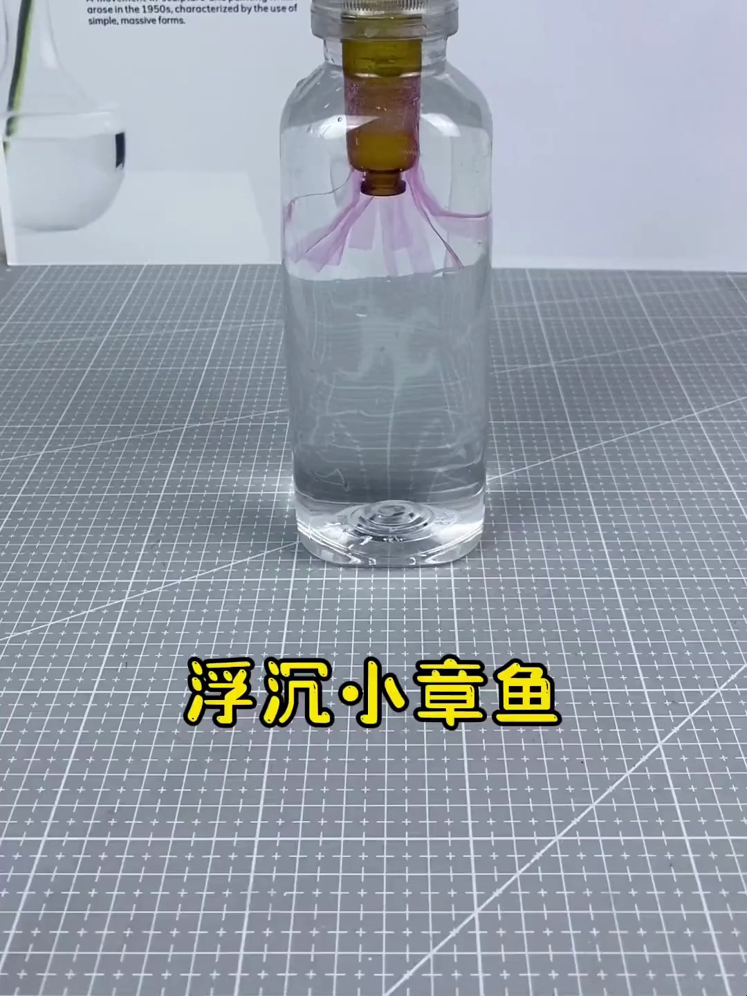 饮料瓶别丢,做个好玩的浮沉小章鱼