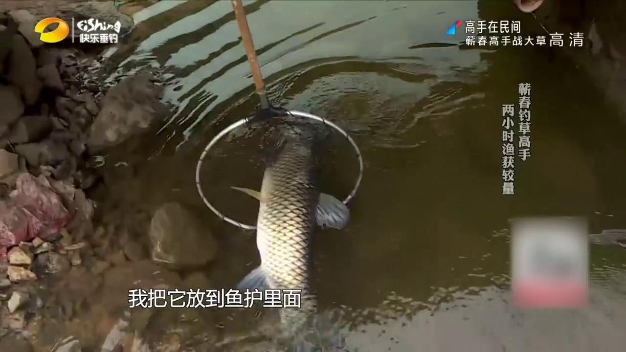 选好钓位开始作钓,对手都还在等鱼呢,大爷就已经上了两条大草鱼