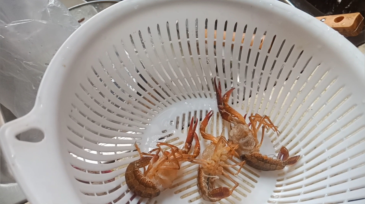 告诉大家怎么钓龙虾,又大又钓得多,钓龙虾技巧