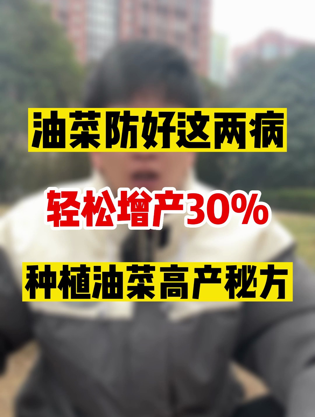 种植油菜,防好这两大病害,亩产轻松提升30%