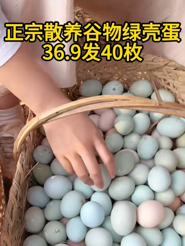 正宗绿壳蛋农家散养乌鸡蛋