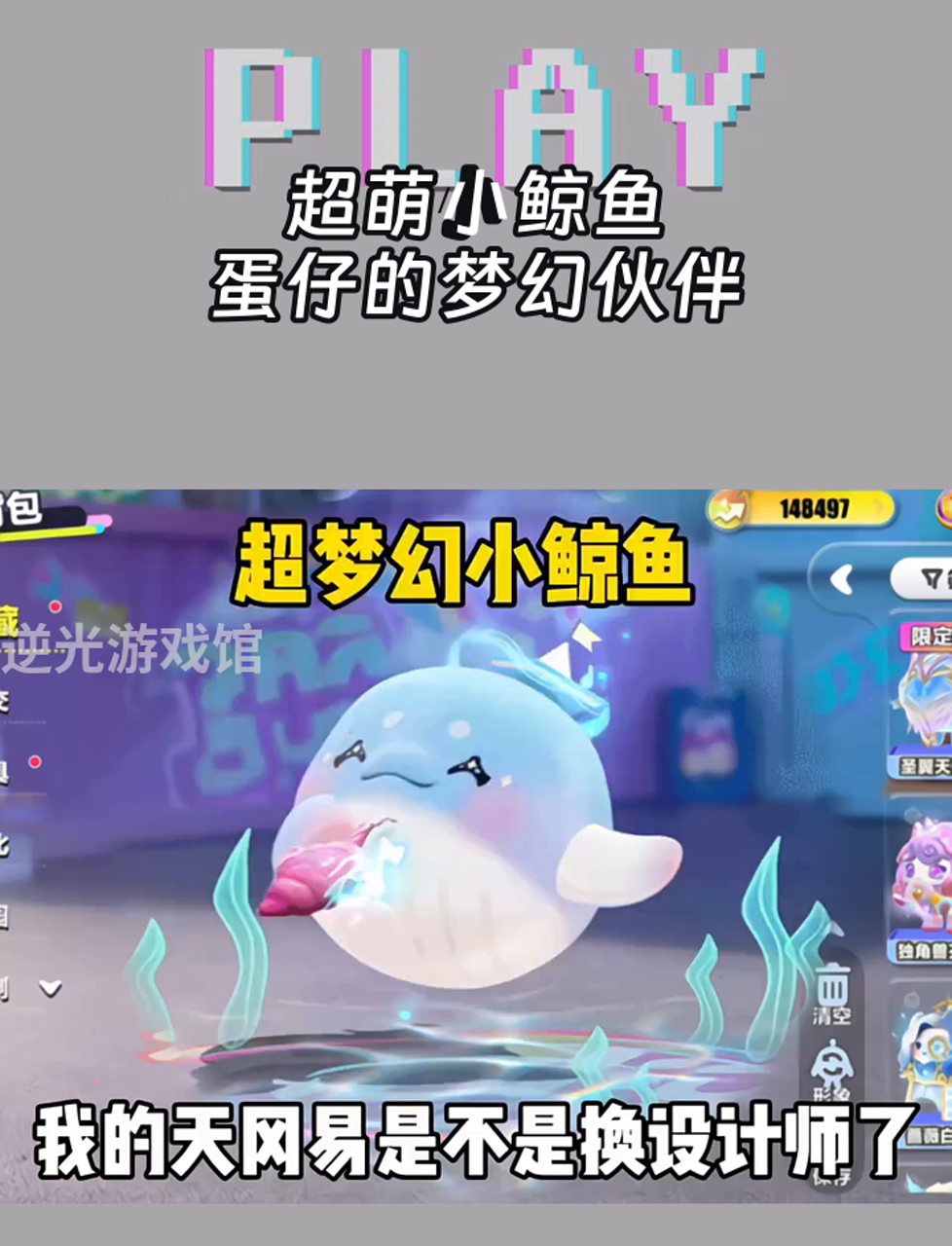 超萌小鲸鱼,蛋仔的梦幻伙伴