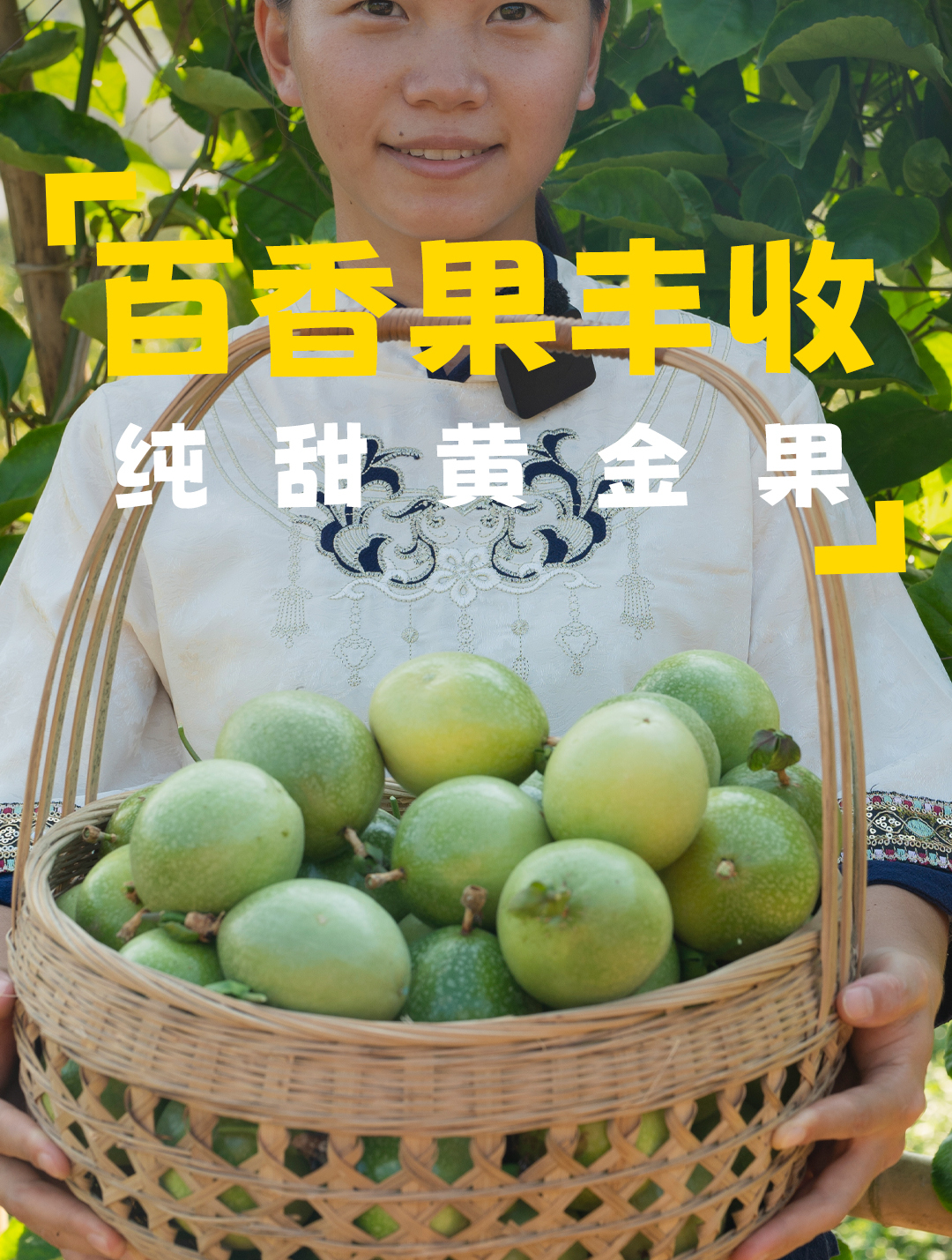 百香果大丰收啦,摘一些回去,做一道凉拌鸡爪,回味无穷