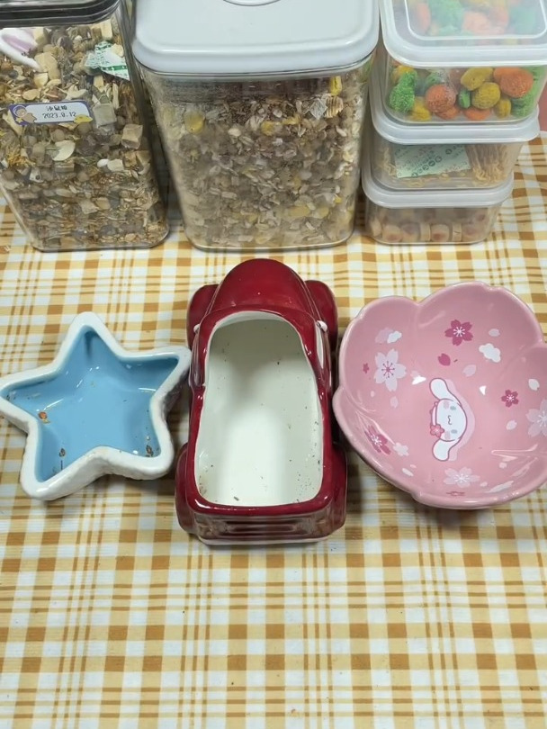 鼠鼠配粮来啦金丝熊 仓鼠