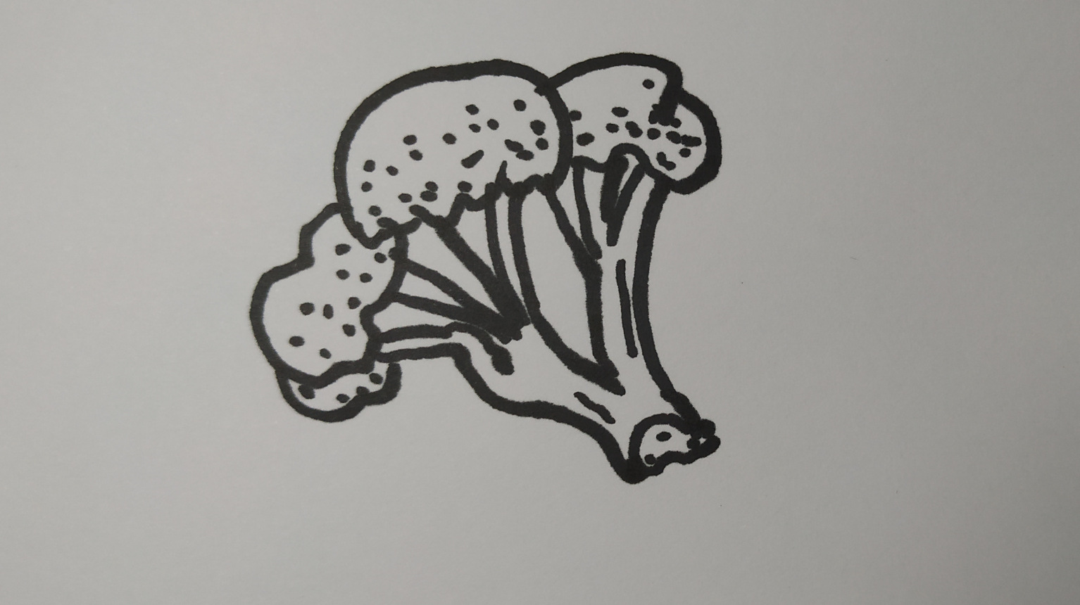 简笔画:爱吃(西兰花)吗?健康绿色蔬菜!儿童学画画基础!