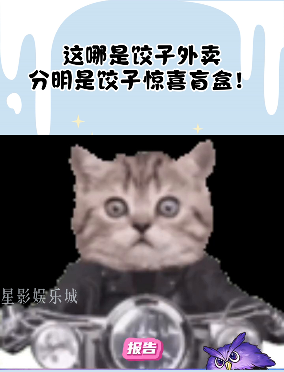 这哪是饺子外卖,分明是饺子惊喜盲盒!