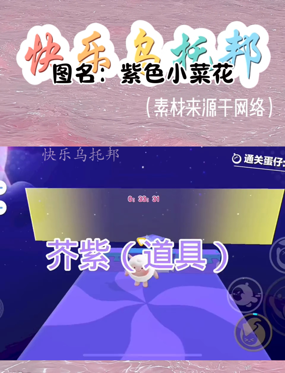 图名:紫色小菜花