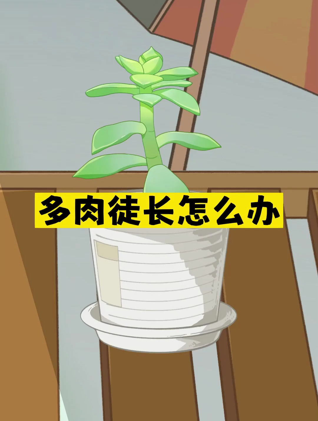 你知道多肉徒长怎么办吗