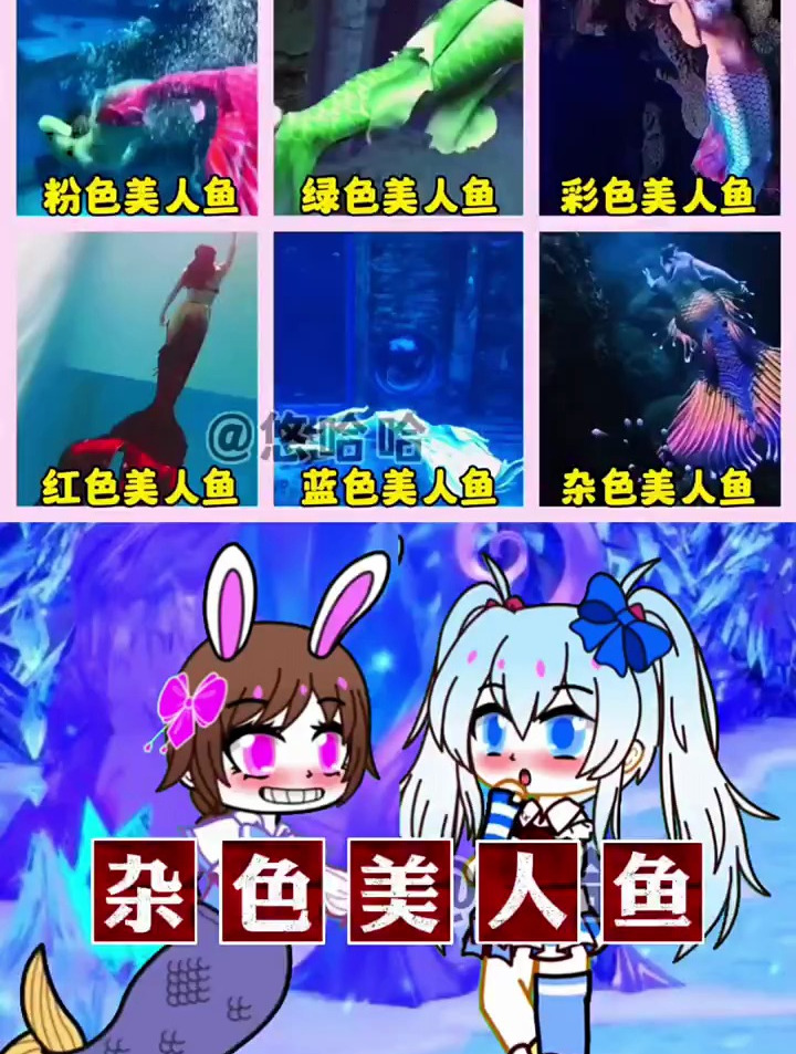 小舞竟然是杂色美人鱼公主 小舞
