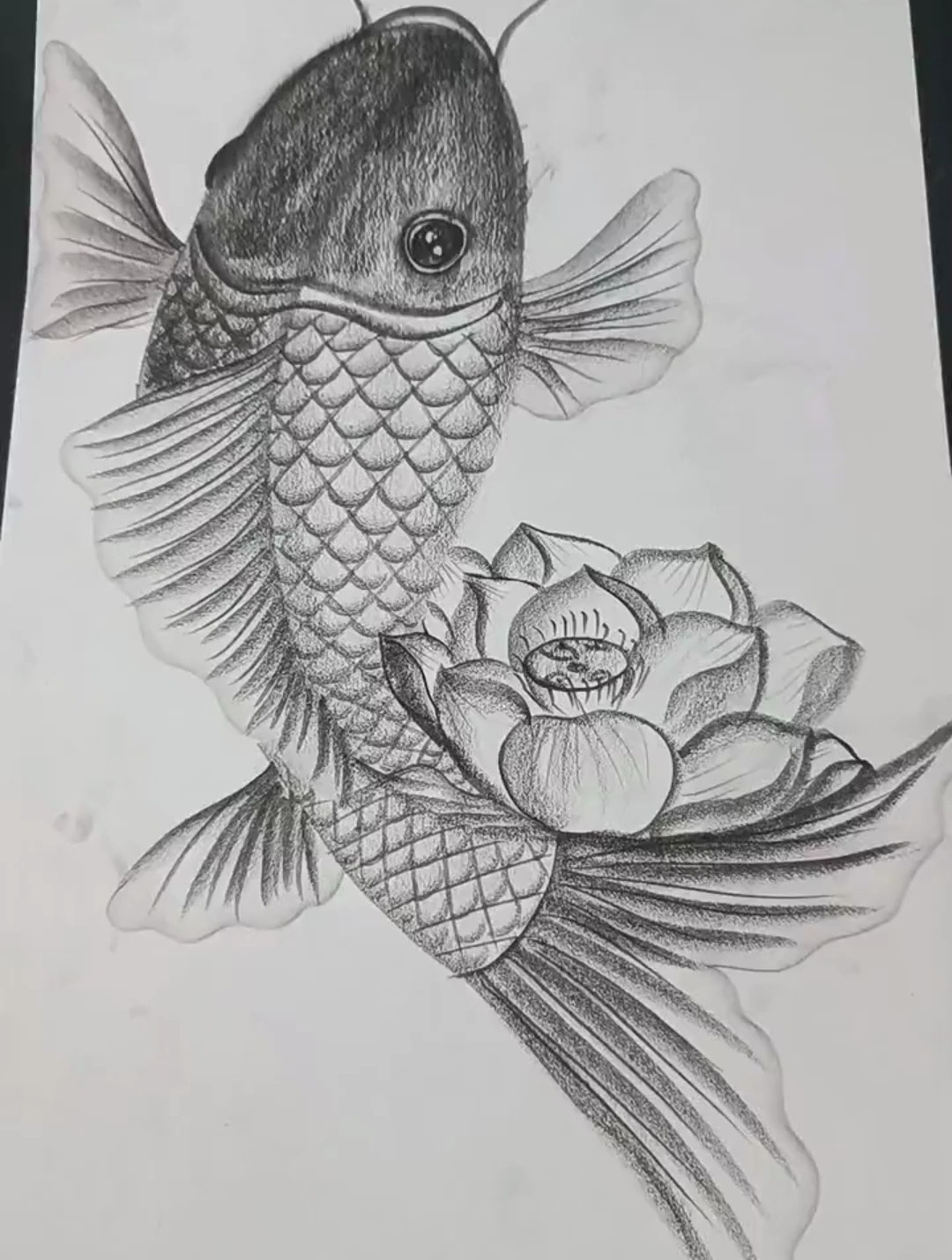 鱼跃莲花的详细画法