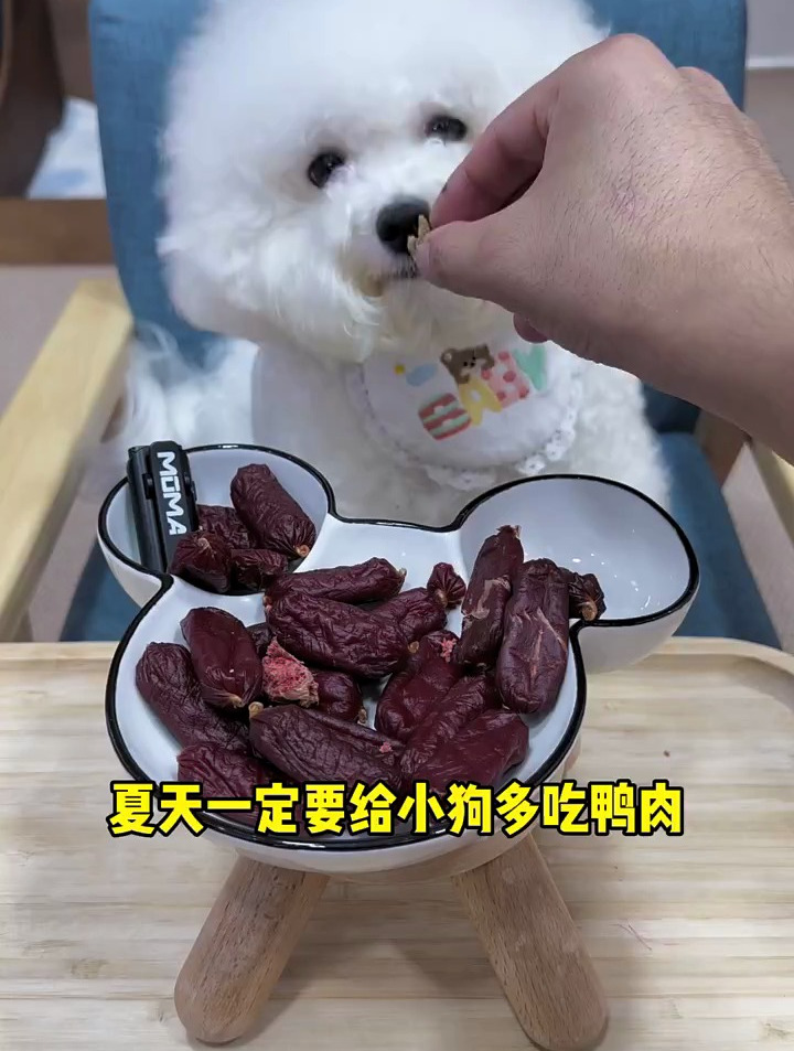 清热去火磨牙又解馋的鸭肉香肠快给狗子常常吧!