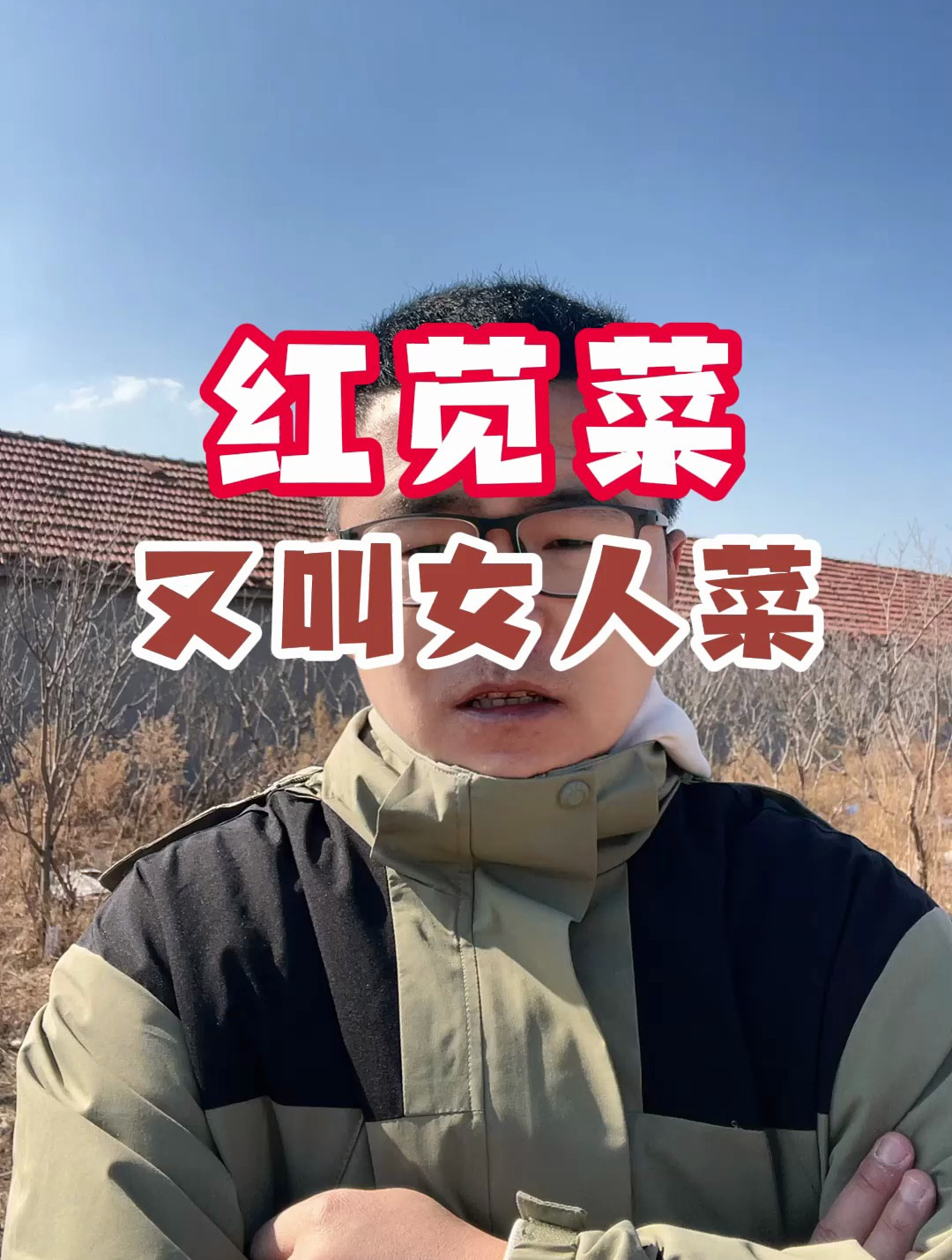 红苋菜又叫女人菜