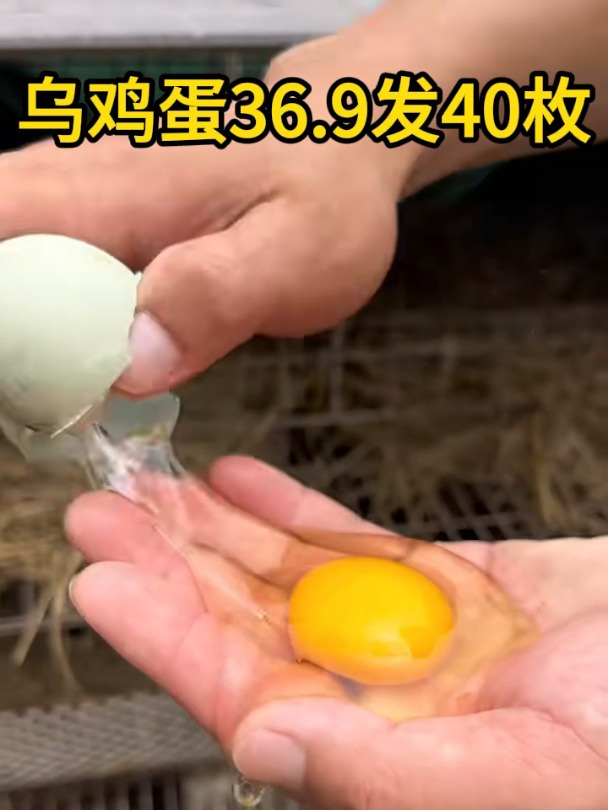 农家散养绿壳土乌鸡蛋正宗谷物蛋