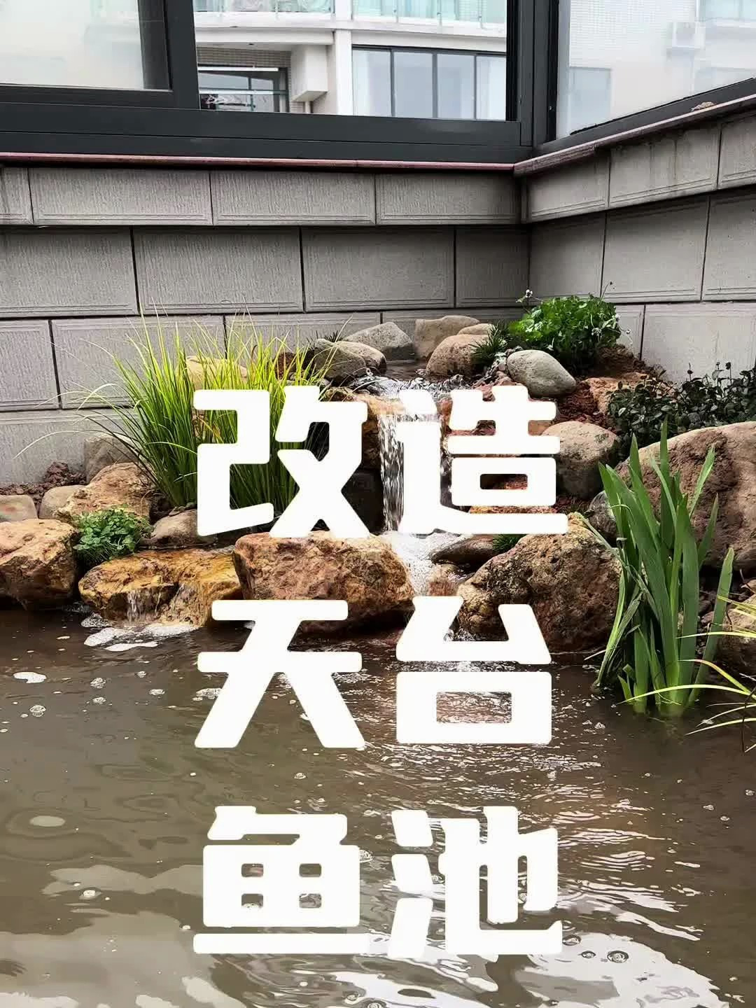 改造天台鱼池,看成品