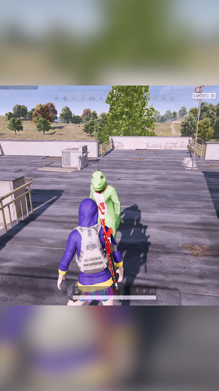 小恐龙你到底在想干什么?