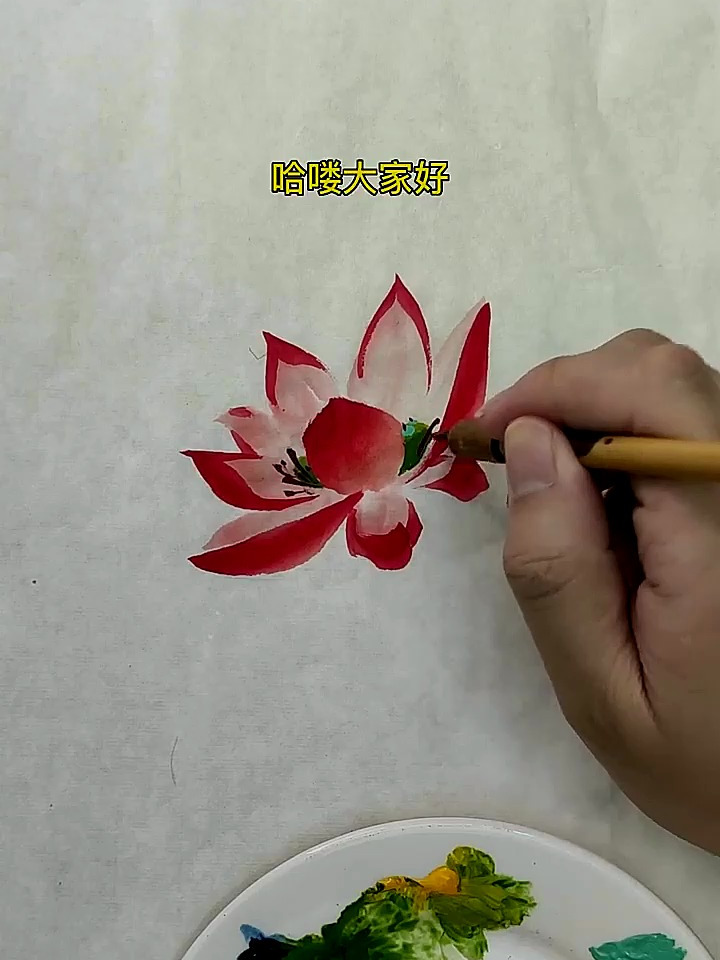 荷花详细教程,非常实用