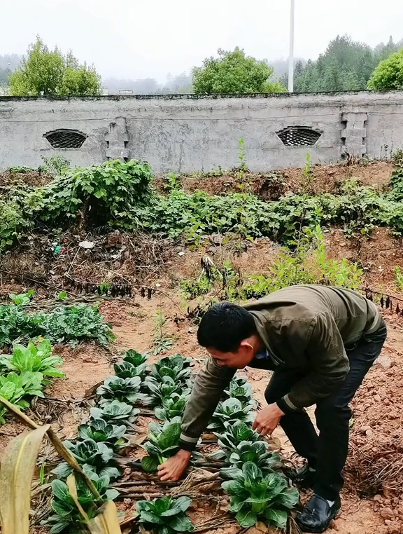当生活不如意时,不要怨天怨地,谁家不是满地鸡毛