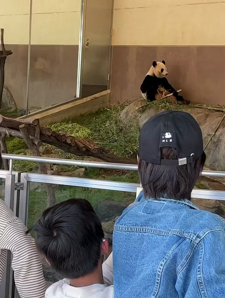 当过服务员就是不一样,端盘子的端的专业