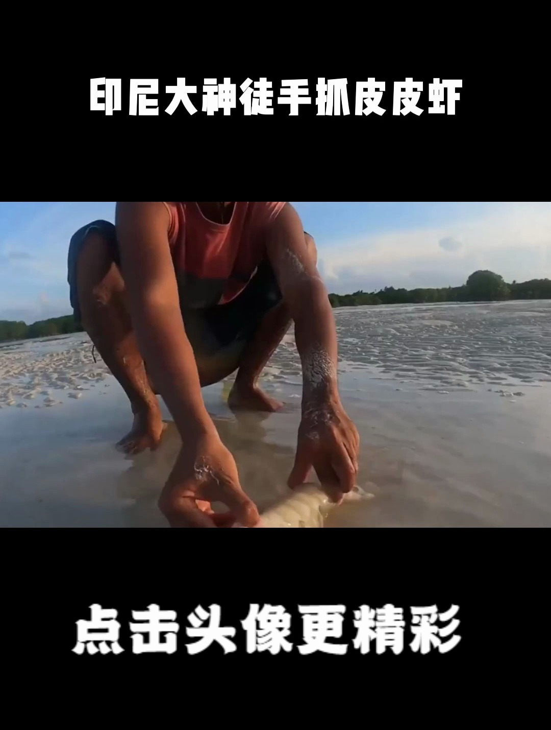印尼大神徒手抓皮皮虾,一只一斤重胳膊一样粗,卖500不过分吧?