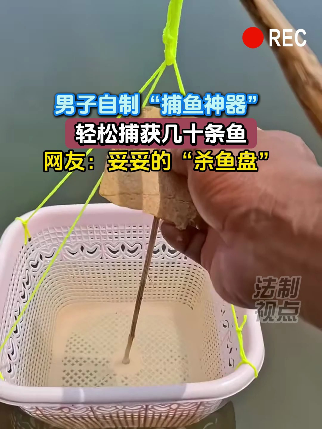 男子自制“捕鱼神器”,轻松捕获几十条鱼,网友:妥妥的杀鱼盘