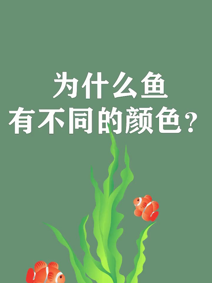 为什么鱼有不同的颜色?鱼 科普 涨知识 十万个为什么