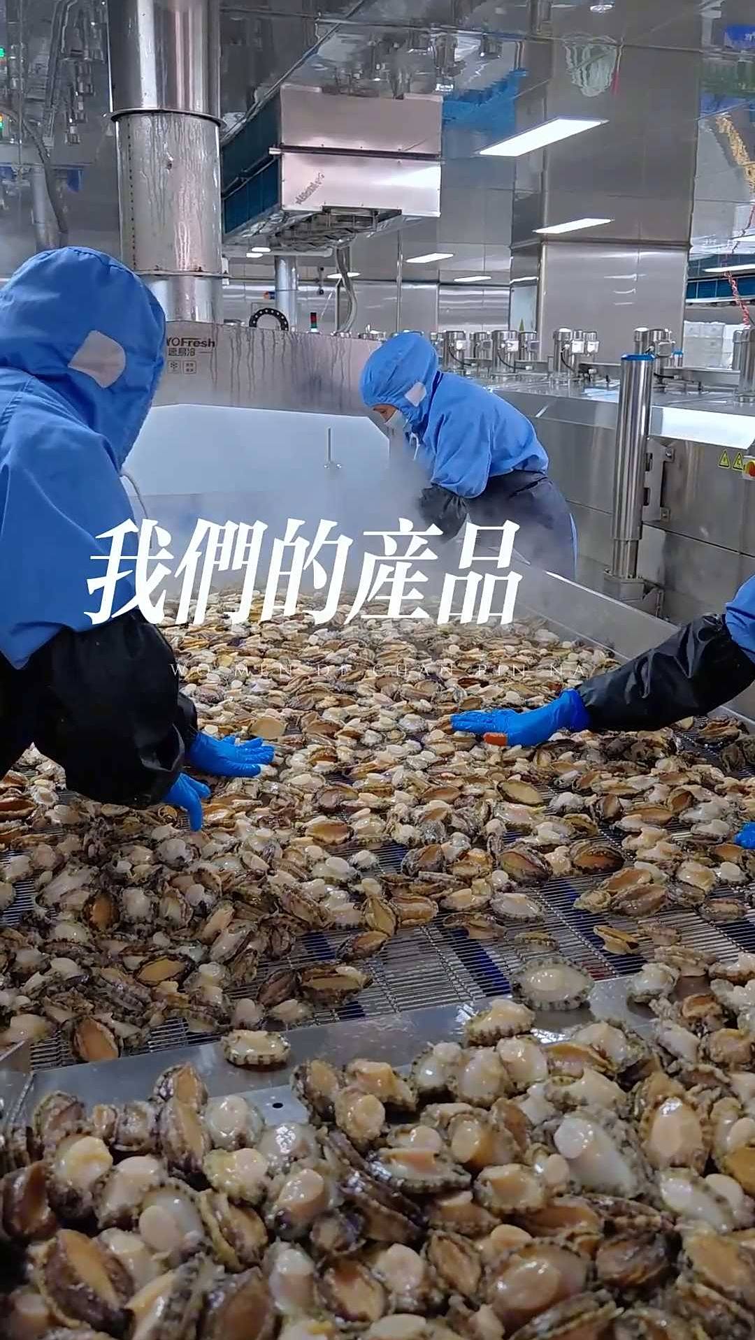 海文铭鲍鱼:知名品牌,品质与口碑的双重保证!