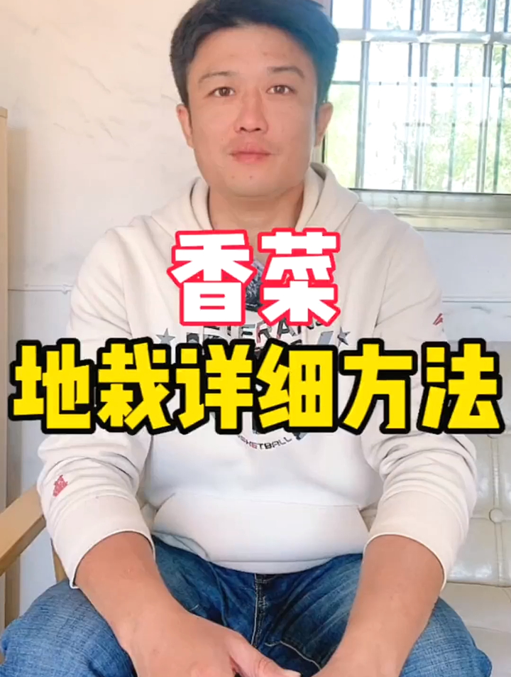 十月份了已经开始种植的末班车了这一次我和分享香菜地栽详细方法