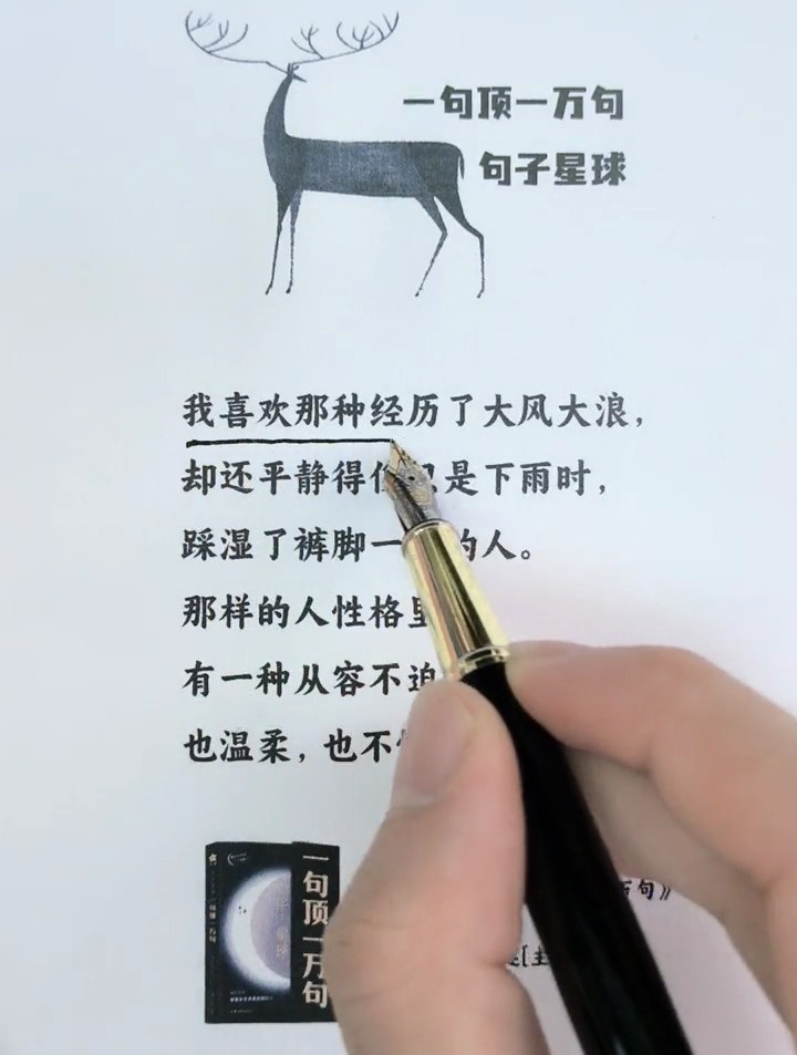 我喜欢那种经历了大风大浪,却还平静得像只是下雨时