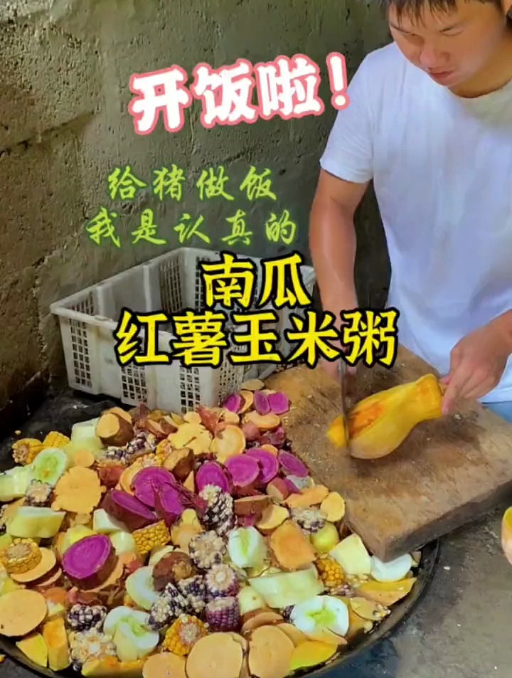 沉浸式剁猪食,今天来一锅“翡翠南瓜红薯玉米粥”
