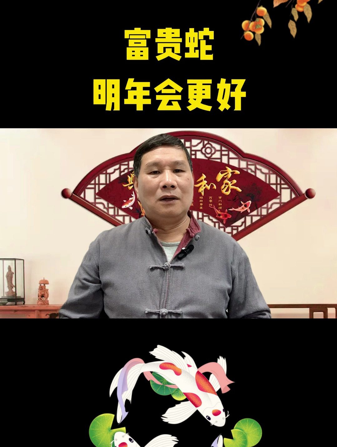 富贵蛇,明年会更好