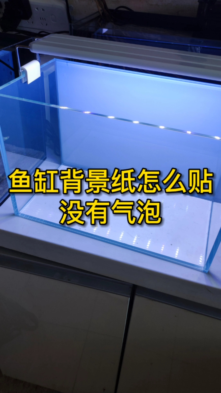 鱼缸背景纸怎么贴?详细地技巧介绍,并推荐给你一个好贴的背景纸