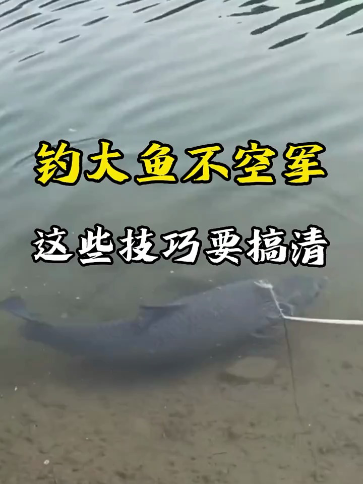想要钓大鱼不空军,这些技巧要高清