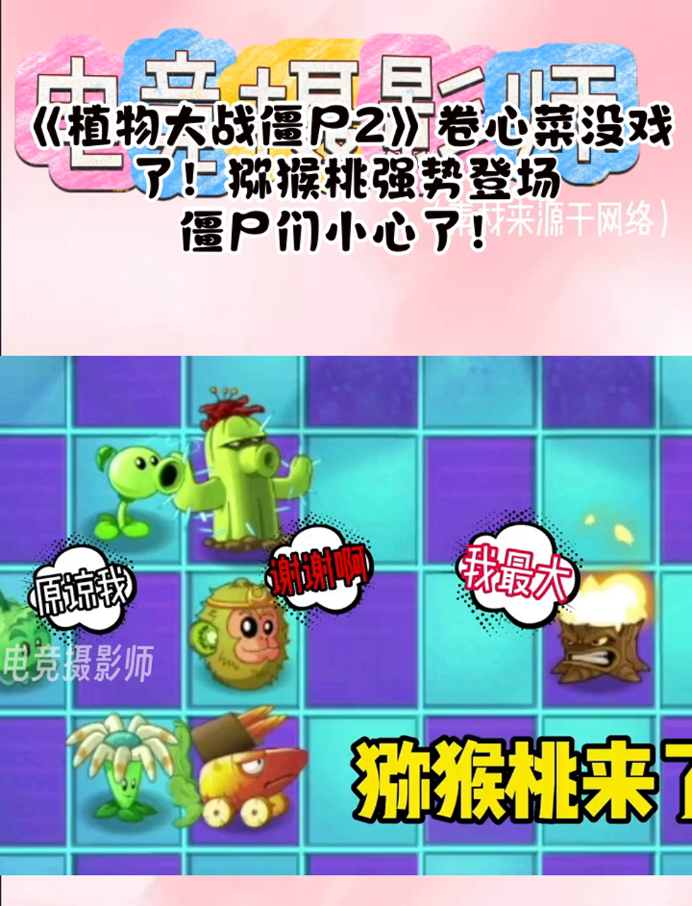 《植物大战僵尸2》卷心菜没戏了!猕猴桃强势登场,僵尸们小心了!