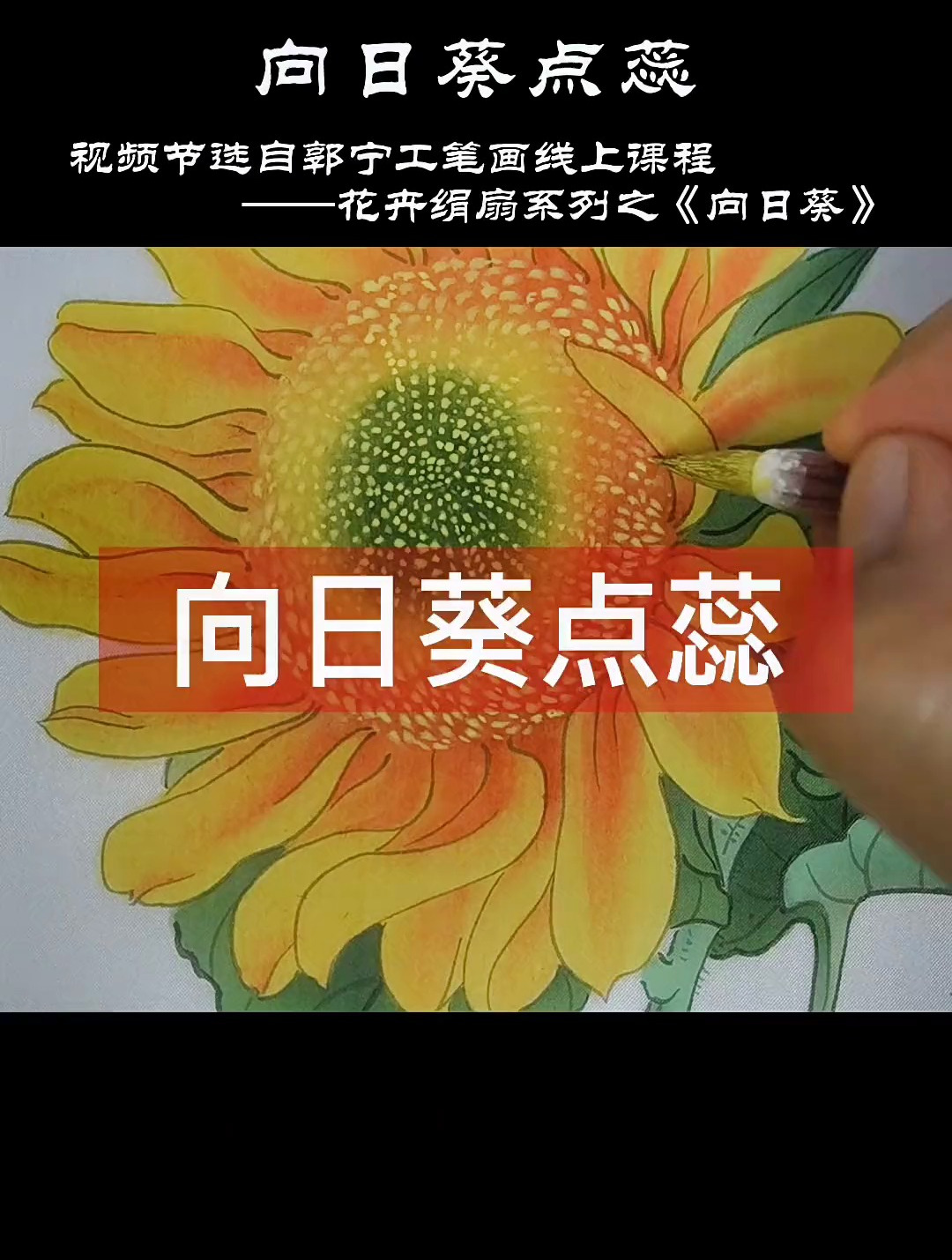 向日葵点蕊方法 工笔画教学 星河知识计划 渊博文化星