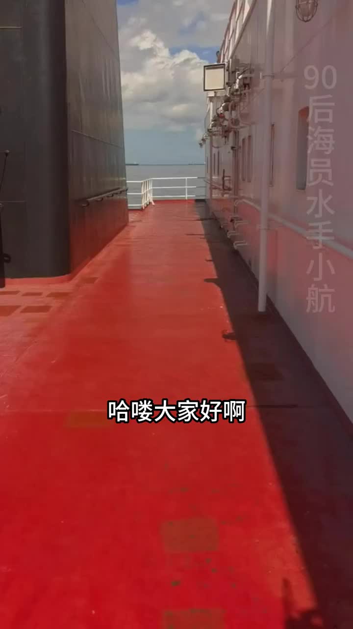 有纹身案底的能不能做货轮海员