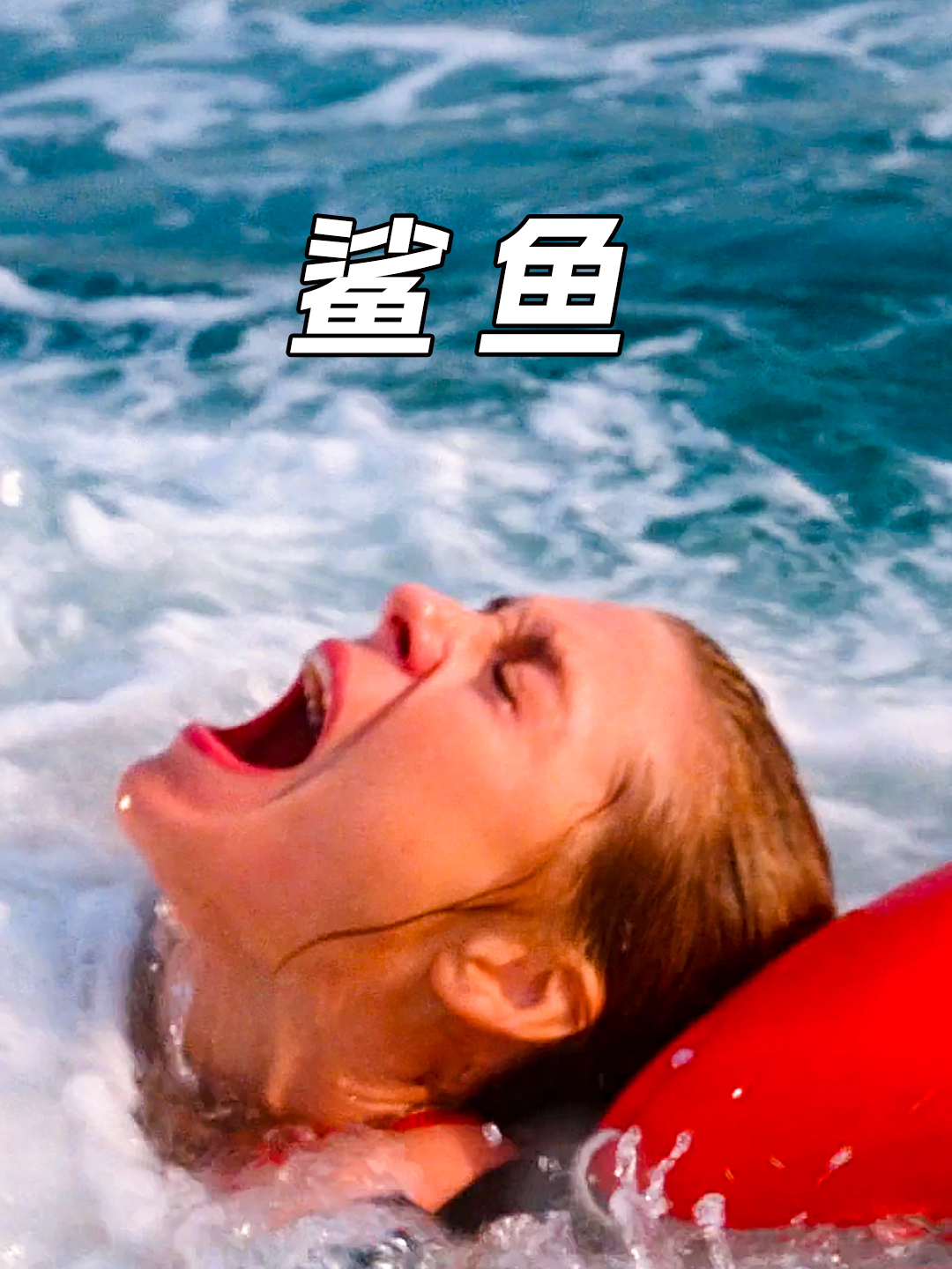 海上出现一头鲨鱼