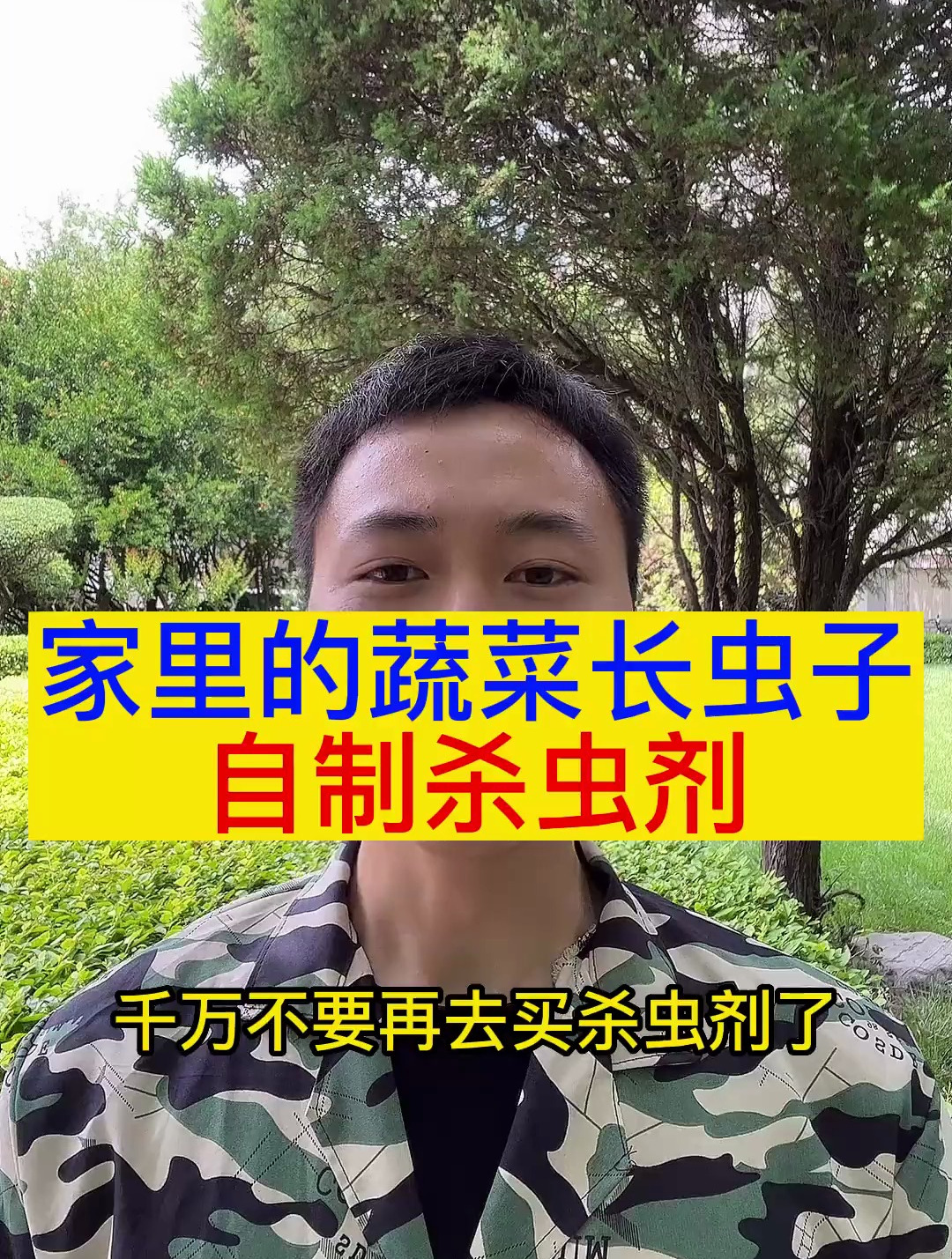 家里蔬菜长虫子,自制杀虫剂,种植小知识