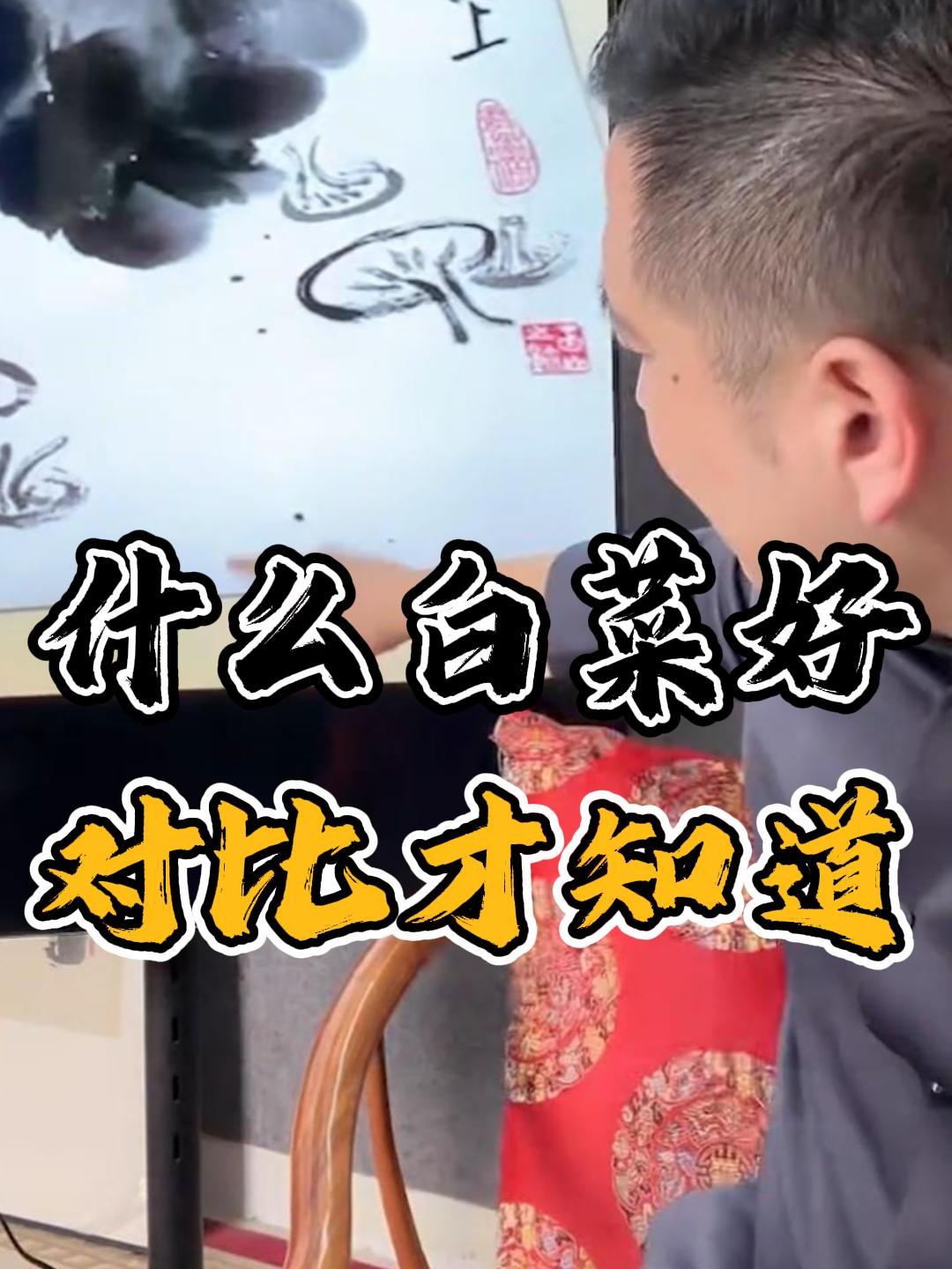 书画鉴赏——什么白菜好 比比就知道